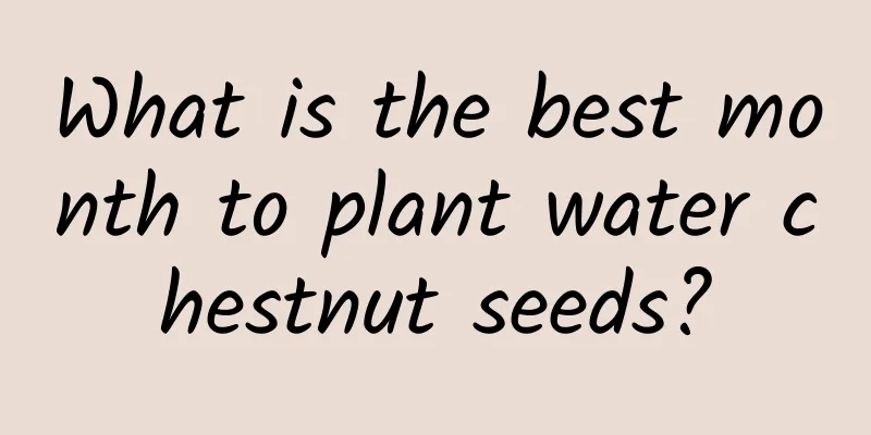 What is the best month to plant water chestnut seeds?