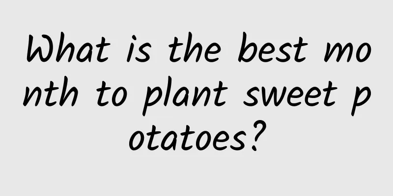 What is the best month to plant sweet potatoes?
