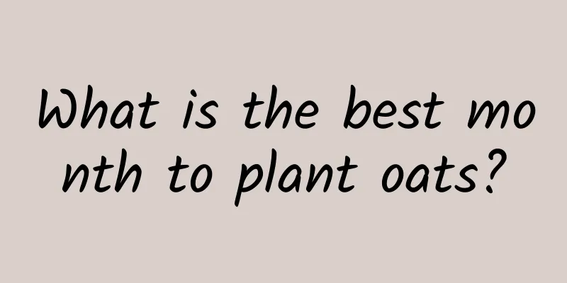 What is the best month to plant oats?