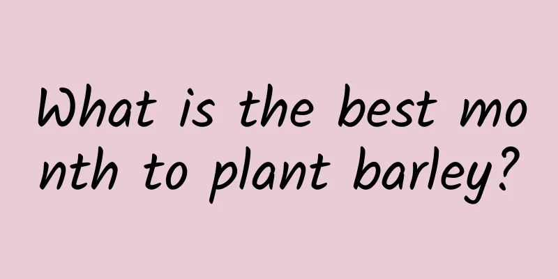 What is the best month to plant barley?
