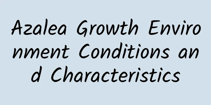 Azalea Growth Environment Conditions and Characteristics