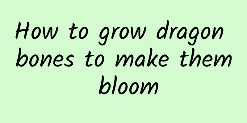 How to grow dragon bones to make them bloom
