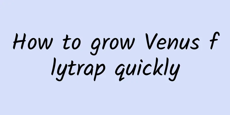How to grow Venus flytrap quickly