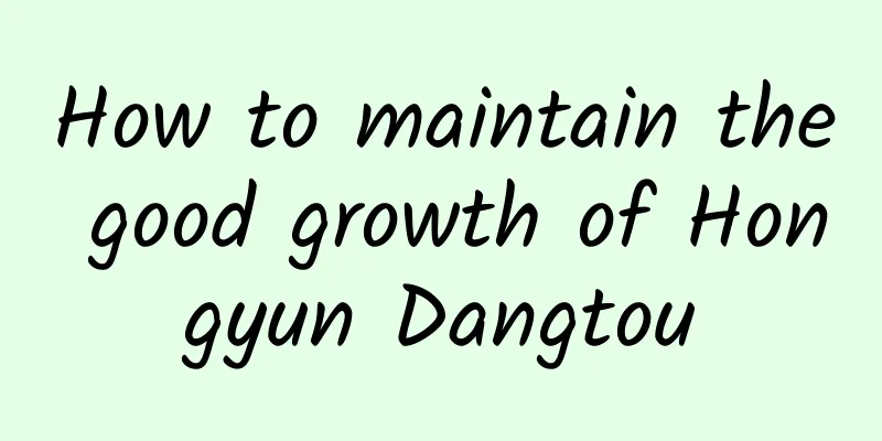 How to maintain the good growth of Hongyun Dangtou