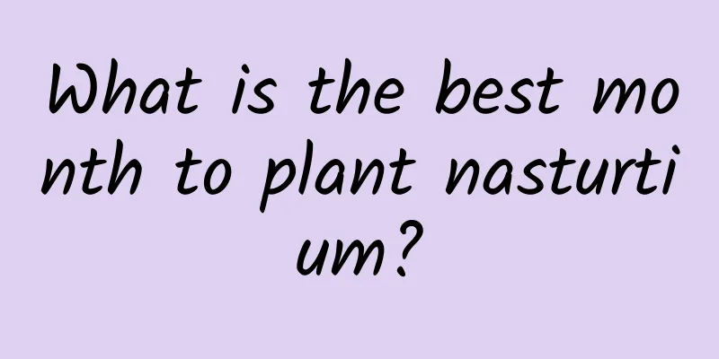 What is the best month to plant nasturtium?