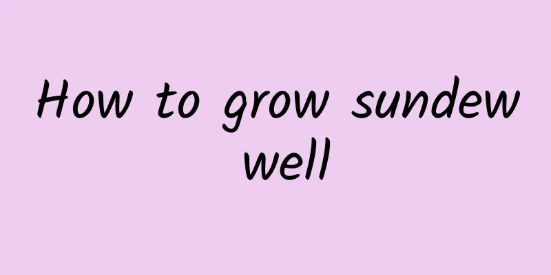 How to grow sundew well