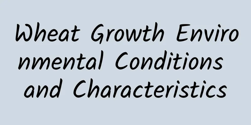 Wheat Growth Environmental Conditions and Characteristics