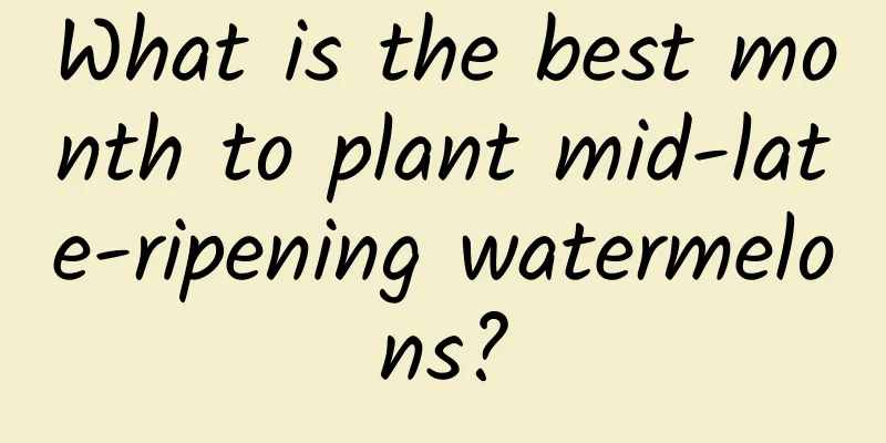 What is the best month to plant mid-late-ripening watermelons?