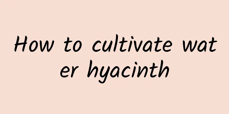 How to cultivate water hyacinth