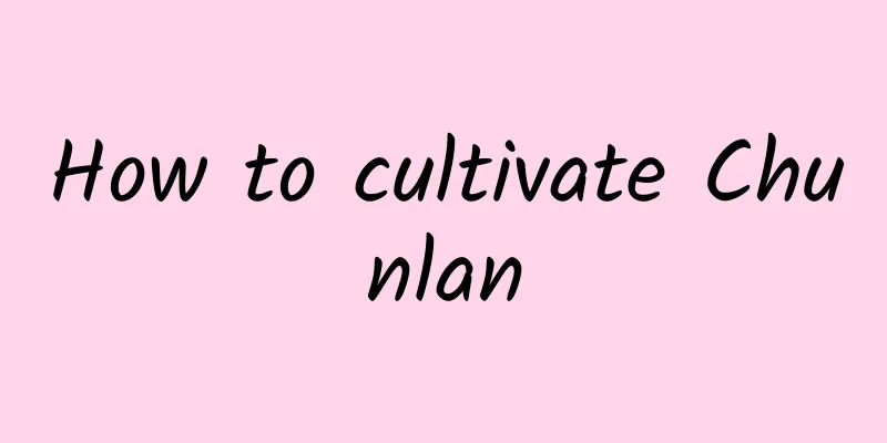 How to cultivate Chunlan
