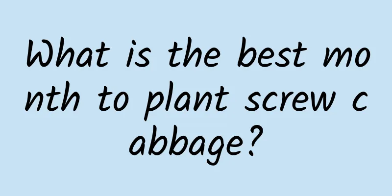 What is the best month to plant screw cabbage?
