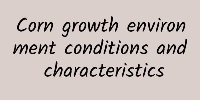 Corn growth environment conditions and characteristics
