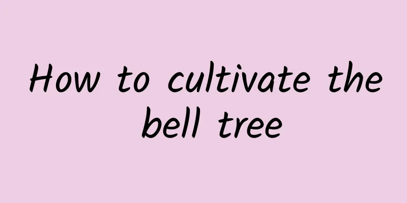 How to cultivate the bell tree