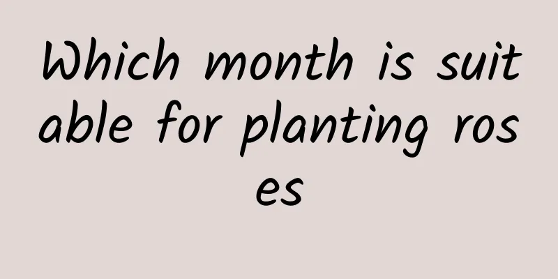 Which month is suitable for planting roses