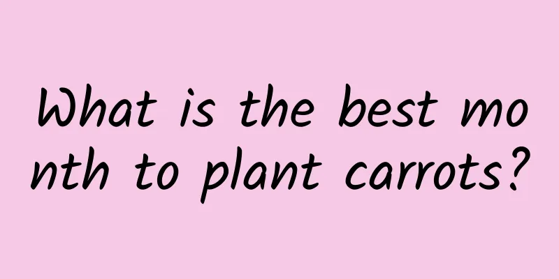 What is the best month to plant carrots?