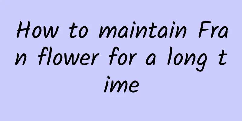 How to maintain Fran flower for a long time