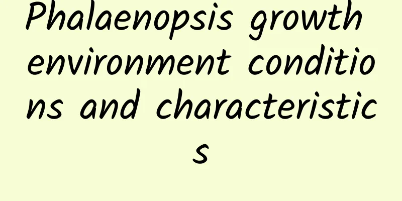 Phalaenopsis growth environment conditions and characteristics