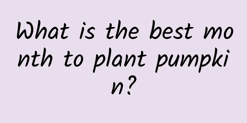 What is the best month to plant pumpkin?