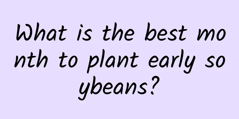 What is the best month to plant early soybeans?