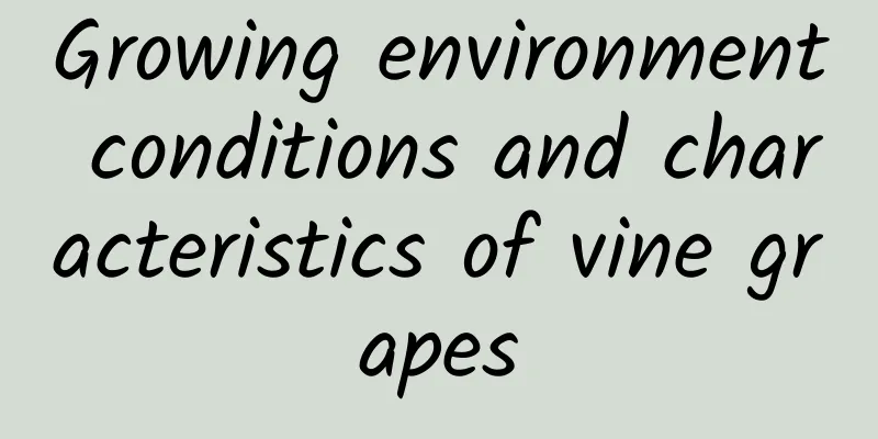 Growing environment conditions and characteristics of vine grapes