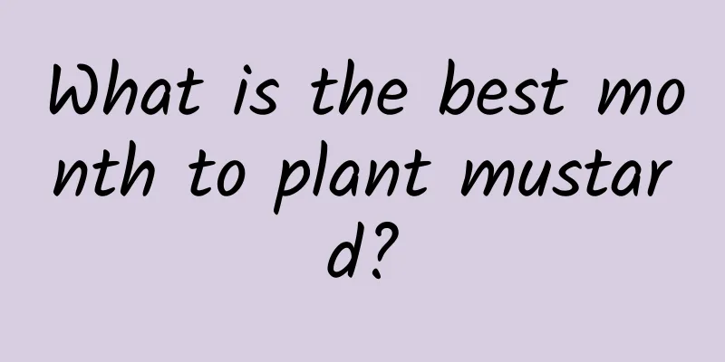 What is the best month to plant mustard?