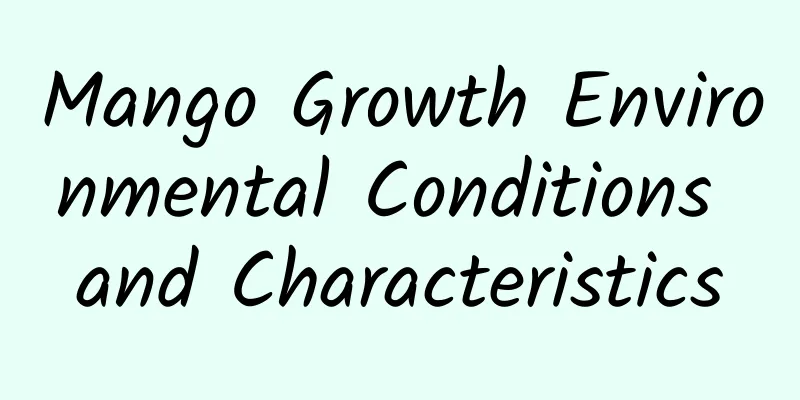 Mango Growth Environmental Conditions and Characteristics