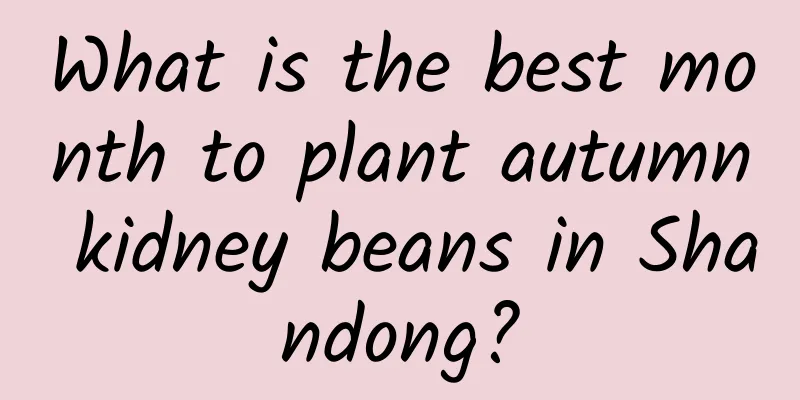 What is the best month to plant autumn kidney beans in Shandong?