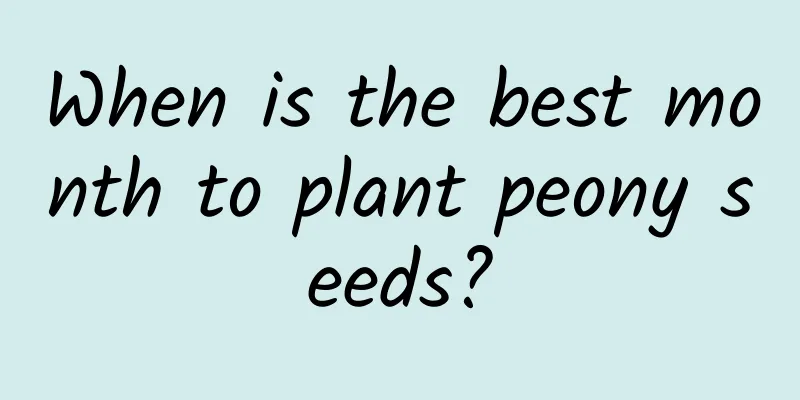 When is the best month to plant peony seeds?