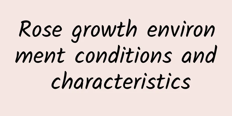 Rose growth environment conditions and characteristics