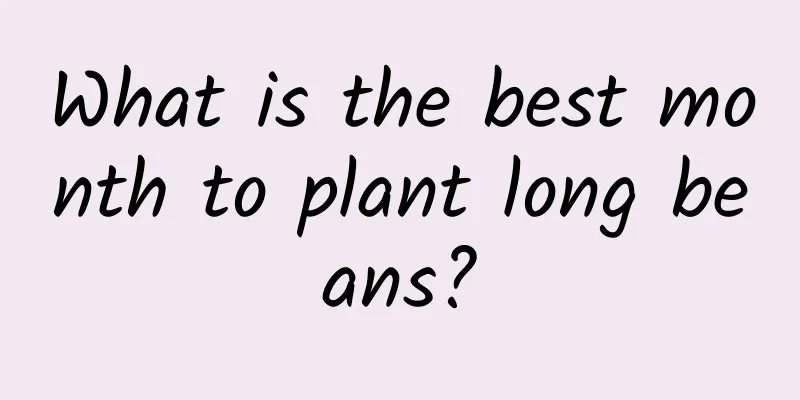 What is the best month to plant long beans?