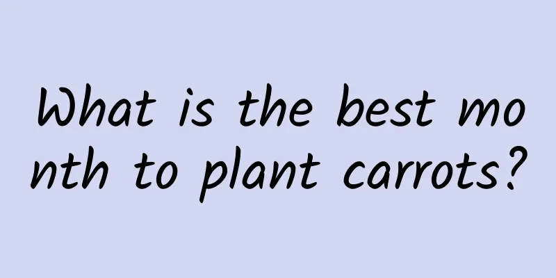 What is the best month to plant carrots?