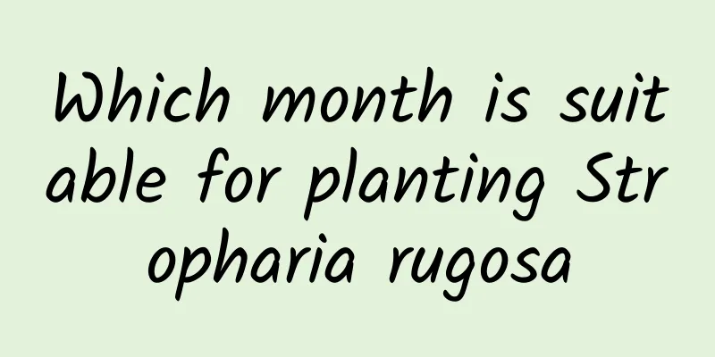 Which month is suitable for planting Stropharia rugosa