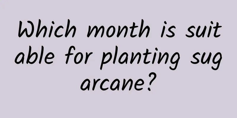 Which month is suitable for planting sugarcane?