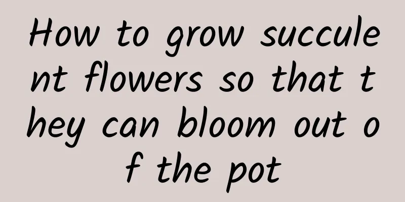How to grow succulent flowers so that they can bloom out of the pot