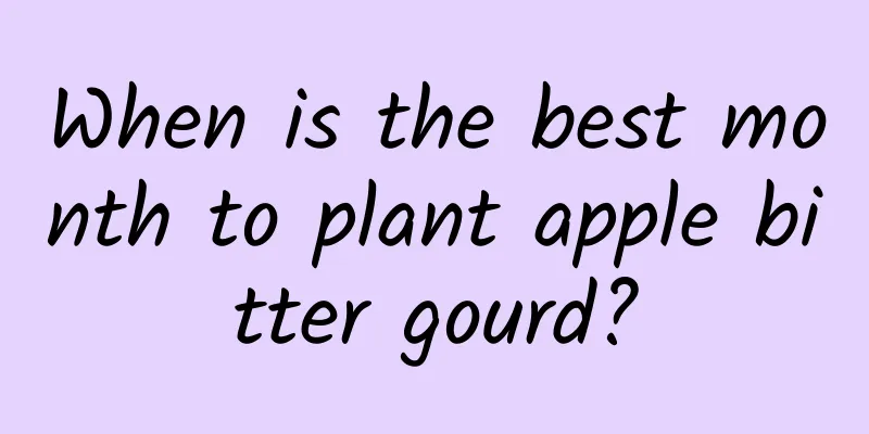 When is the best month to plant apple bitter gourd?