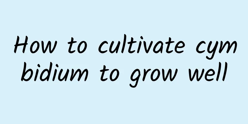 How to cultivate cymbidium to grow well
