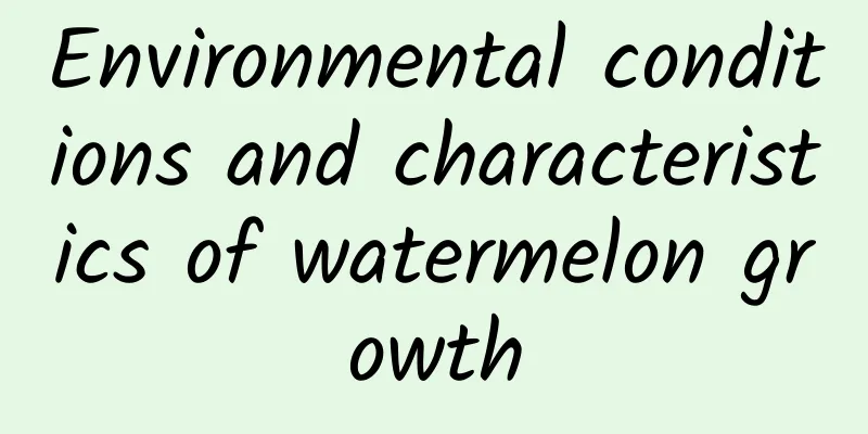 Environmental conditions and characteristics of watermelon growth