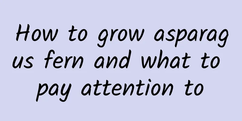 How to grow asparagus fern and what to pay attention to