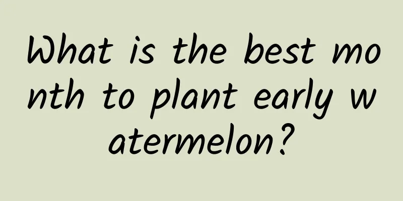 What is the best month to plant early watermelon?