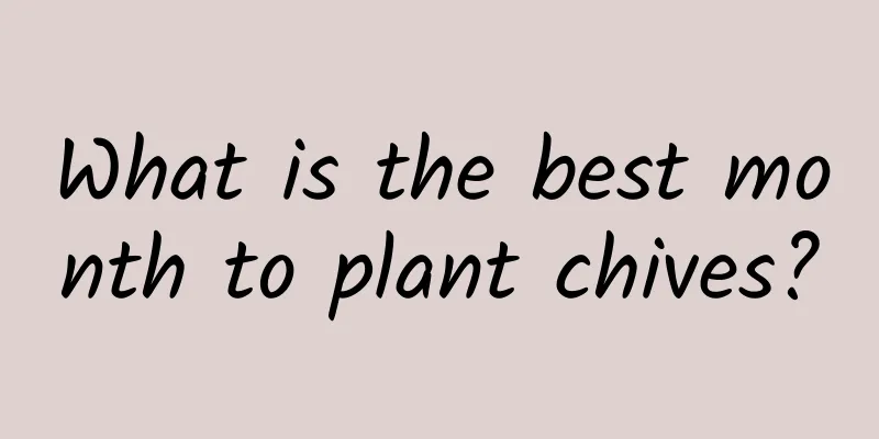 What is the best month to plant chives?