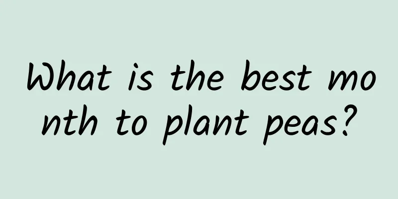 What is the best month to plant peas?