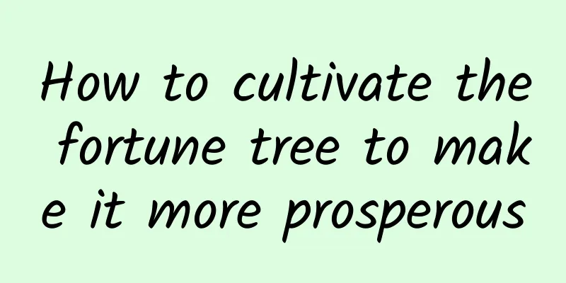 How to cultivate the fortune tree to make it more prosperous