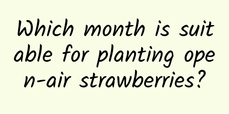 Which month is suitable for planting open-air strawberries?