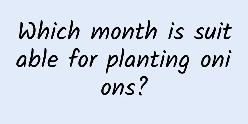 Which month is suitable for planting onions?