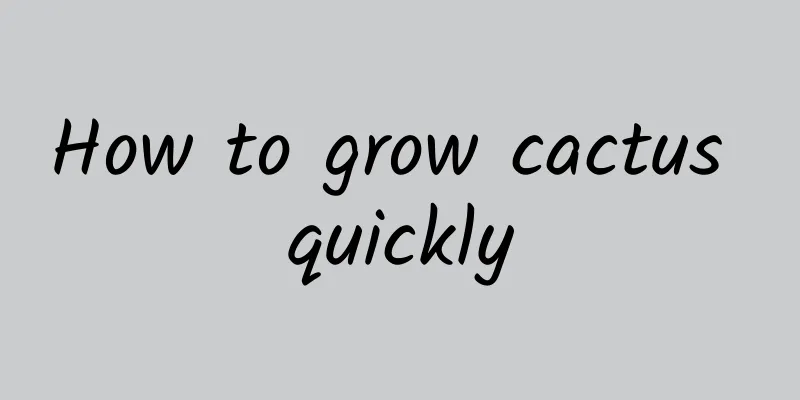 How to grow cactus quickly