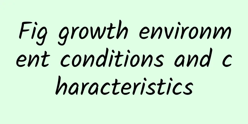 Fig growth environment conditions and characteristics