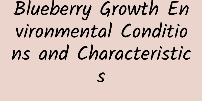 Blueberry Growth Environmental Conditions and Characteristics