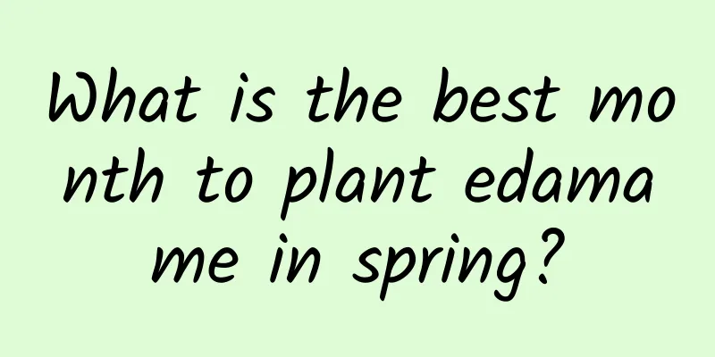 What is the best month to plant edamame in spring?