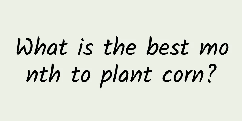 What is the best month to plant corn?