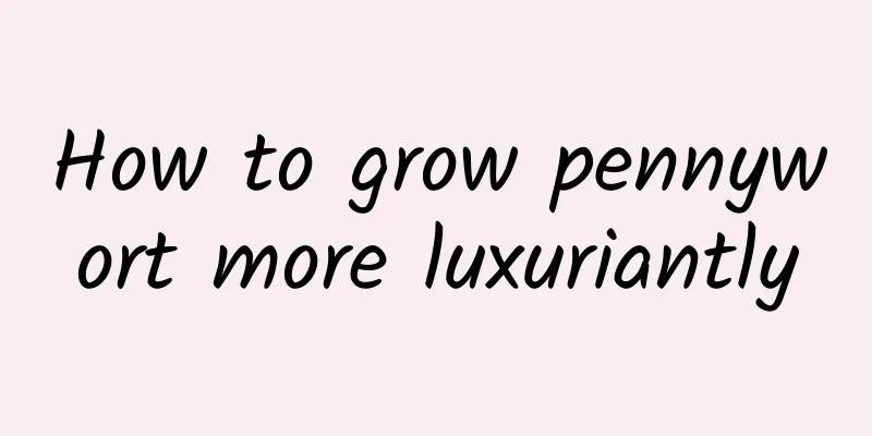 How to grow pennywort more luxuriantly